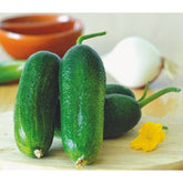 Hectarul - Seminte Castraveti cornichon Cloud F1 HEKTAR 100 sem